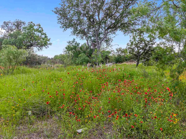 TBD Pansy & Violet, Kingsland, TX 78639