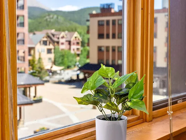 Window View