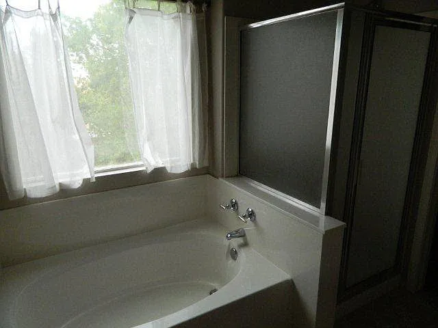 Master Bath tub