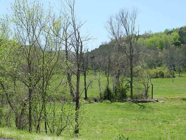 2nd image of 0 Burt Burgen Rd