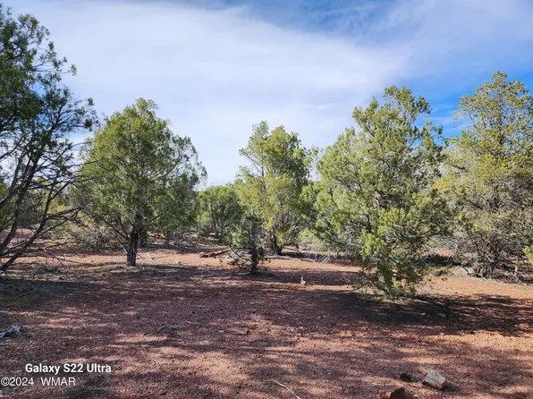 Tbd Timber Ranch Rd, Show Low, AZ 85901