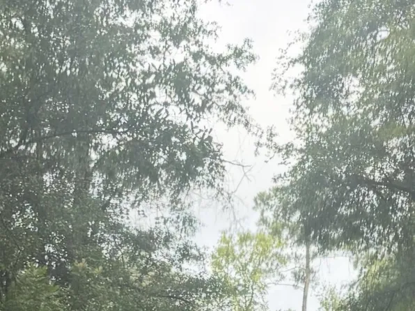 0 NE Tom Love Rd, Hosford, FL 32334