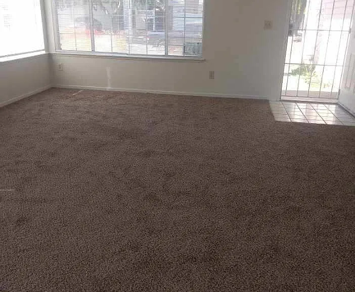 8083 Bucks Harbor Way — Photo 3
