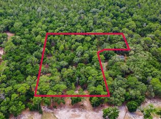 SE 152ND - LOT 16 (RAVENSWOOD RD) PARCEL B PLACE LOT 16, ALTOONA, FL 32702