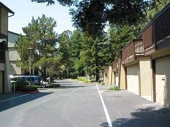 1803 Panda Way photo 1
