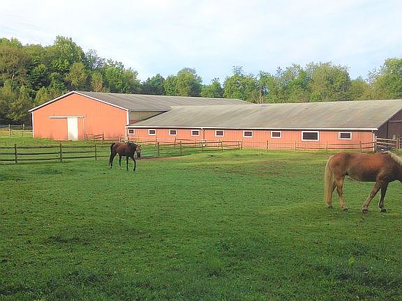23 stalls and Indoor arena