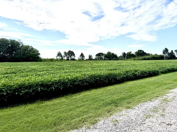 2447 W 416th Rd, East Prairie, MO 63845