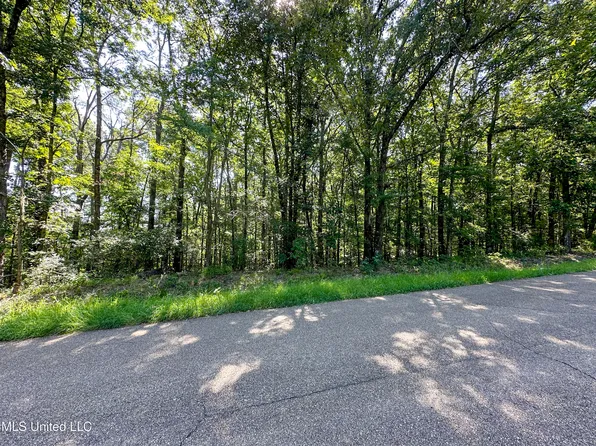 0 Lakeridge Ln, Clinton, MS 39056