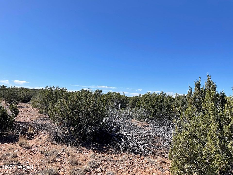 Gene Taylor Ranch Rd, Taylor, AZ 85939 | MLS #248517 | Zillow