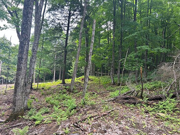 2nd image of Smoky Lake Dr Lot 4