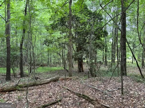 0 Buena Vista Ave, Warrenton, GA 30828