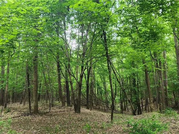 0 Hollingsworth Rd, Mount Airy, NC 27030