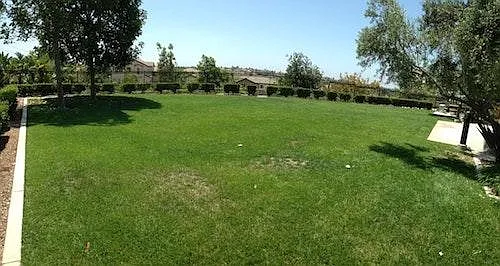 community park