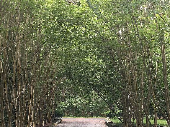 Canopy Front Driveway