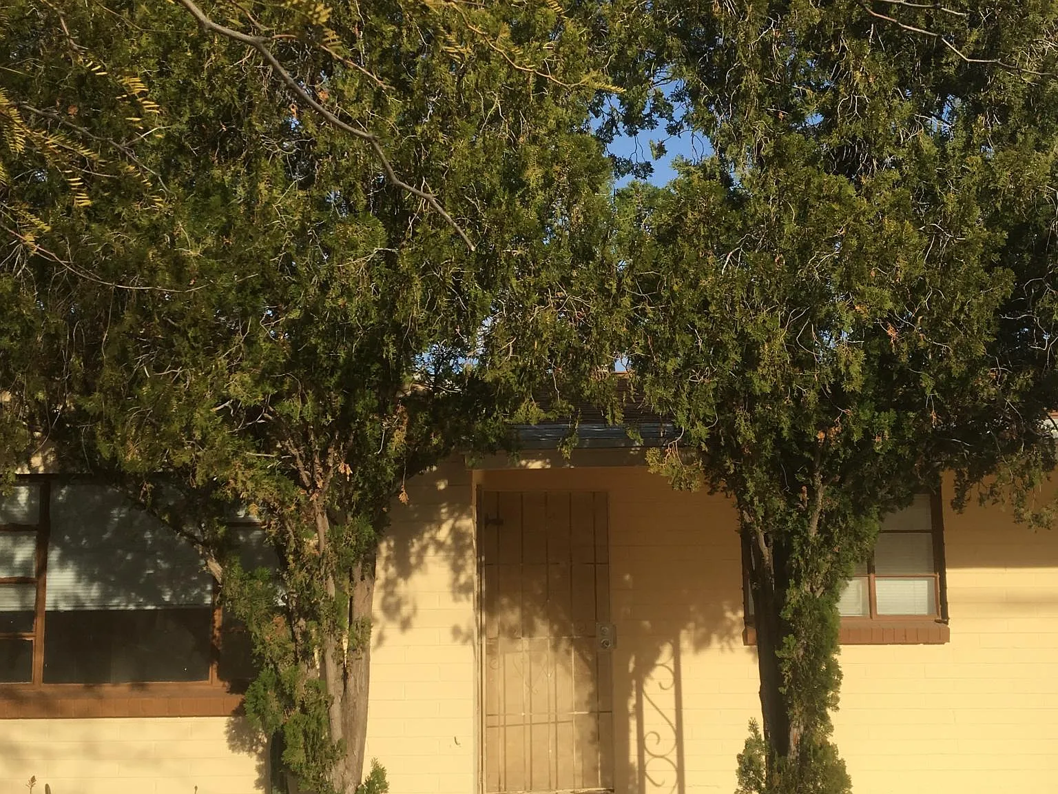 2 bed, 1136 sqft, $1,200 — Photo 1