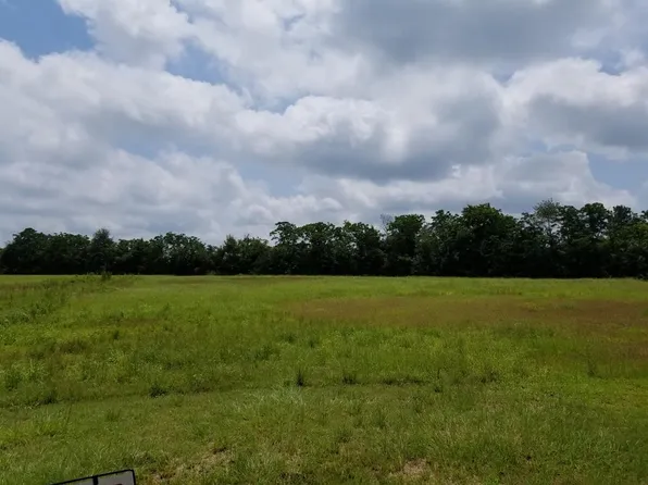 133 Tanglewood Dr, Headland, AL 36345