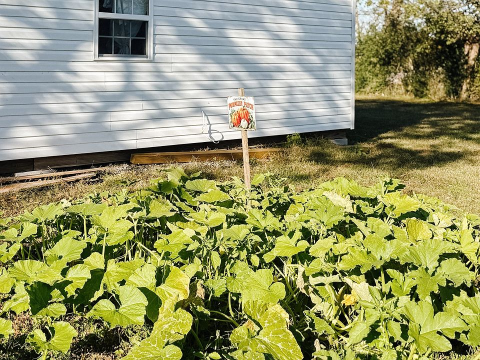 46th image of 7365 Coldwater Rd