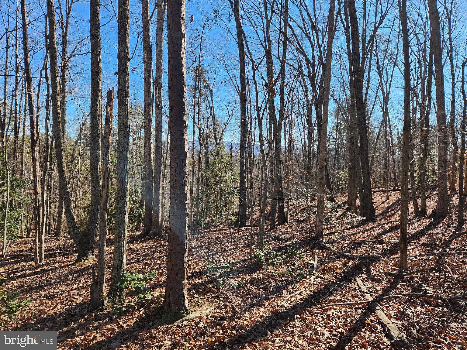 0 Burnley Rd, Barboursville, VA 22923 Zillow