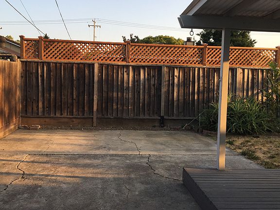 backyard, facing back fence