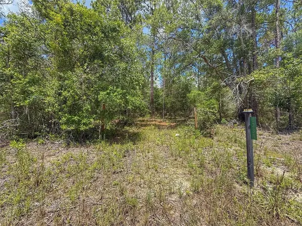 6339 NW 17th Ct Lot 14, Bell, FL 32619