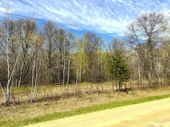 110th St, Menahga, MN 56464