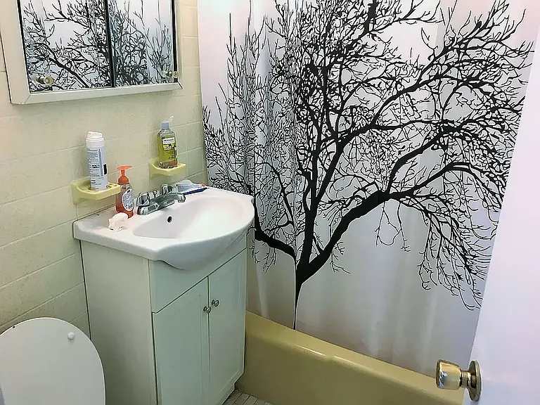 22 W 85th St #2-A — Photo 3