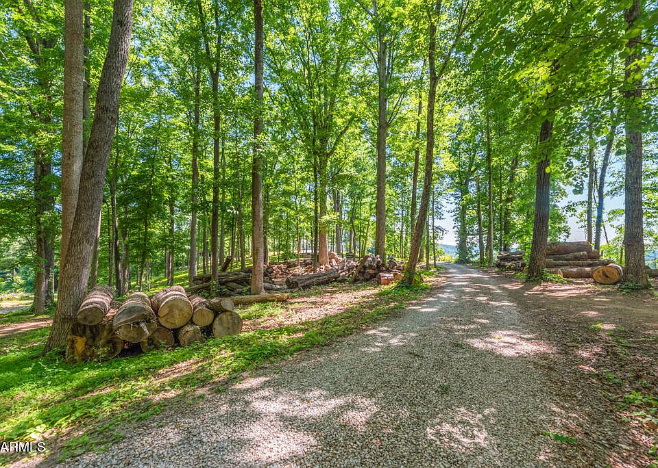 359 Clear Branch Rd, Rocky Top, TN 37769 Zillow
