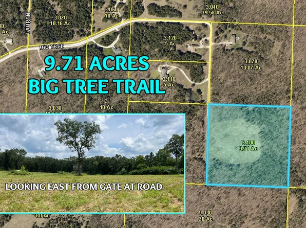 Tbd Big Tree Trail, Buffalo, MO 65622
