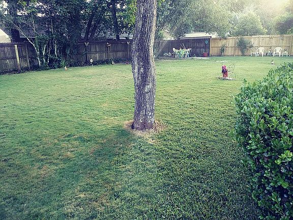 backyard-facing southwest