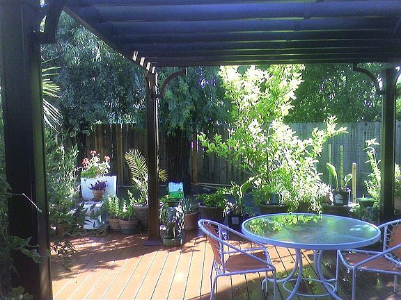 deck and pergoda from family room