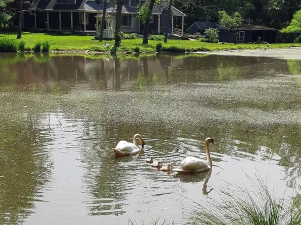 113 Forgedale Rd, Fleetwood, PA 19522