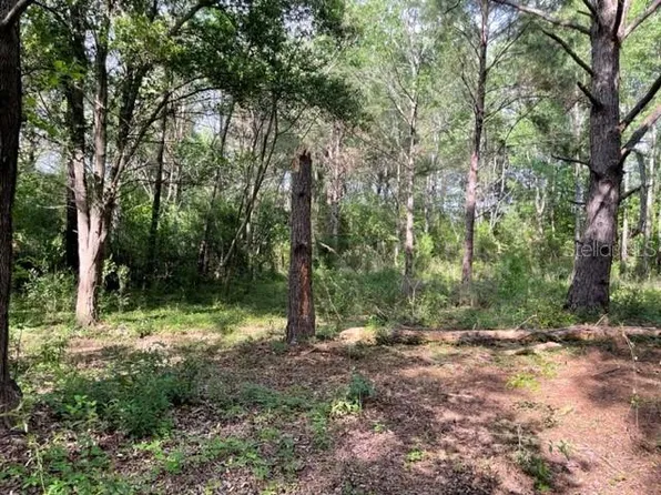 NW 60th Ave Lot 44, Jennings, FL 32053