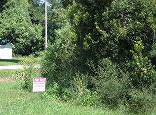 245 N Volusia Ave, Pierson, FL 32180