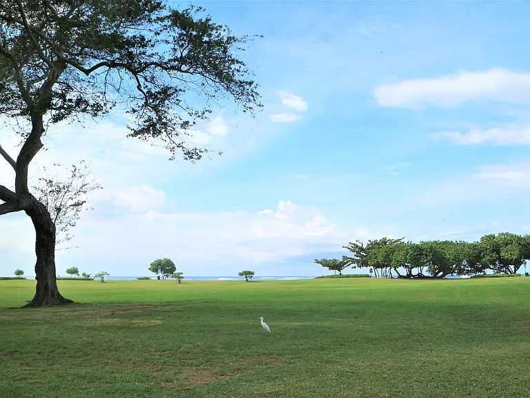 66-480 Haleiwa Rd — Photo 14