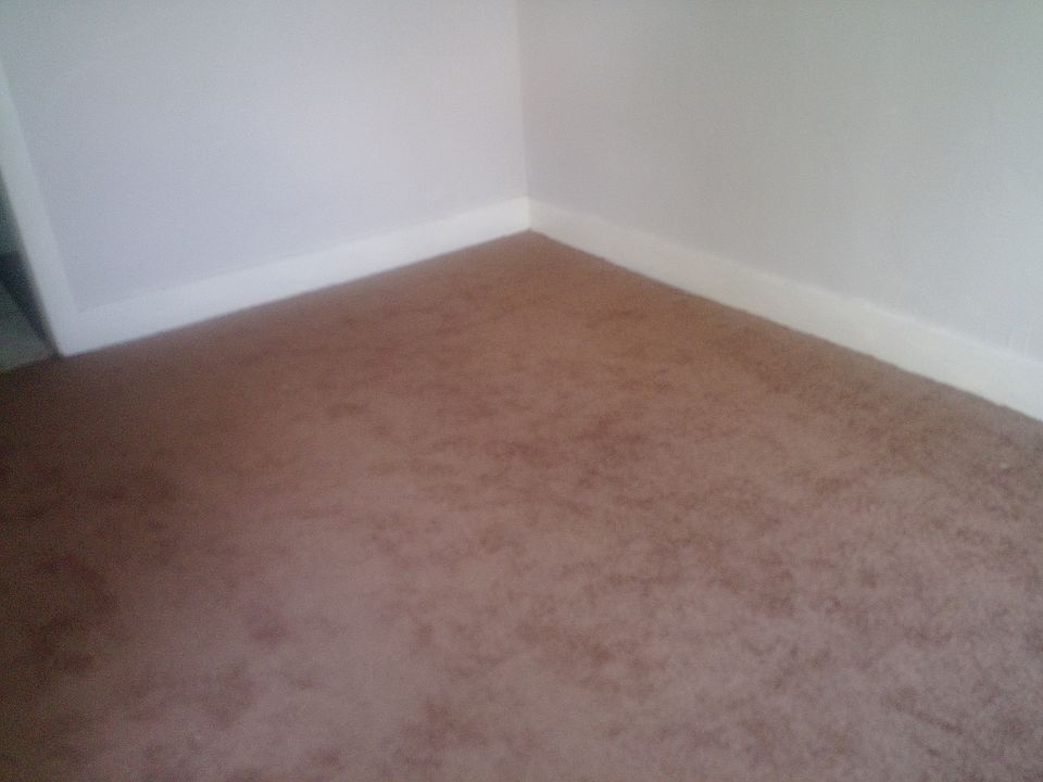 Back Bedroom new carpet
