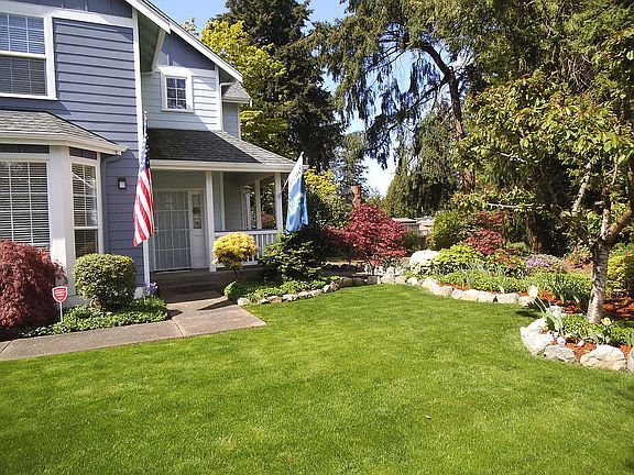 Front yard and spring plants