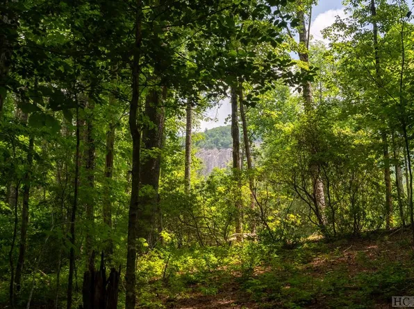 Lot 172 Lonesome Valley, Sapphire, NC 28774