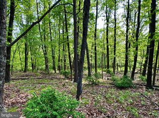 10 Sawmill Dr, Gore, VA 22637