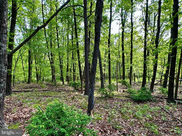 10 Sawmill Dr, Gore, VA 22637