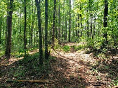 0 Holly Rd, Bowdon, GA, 30108