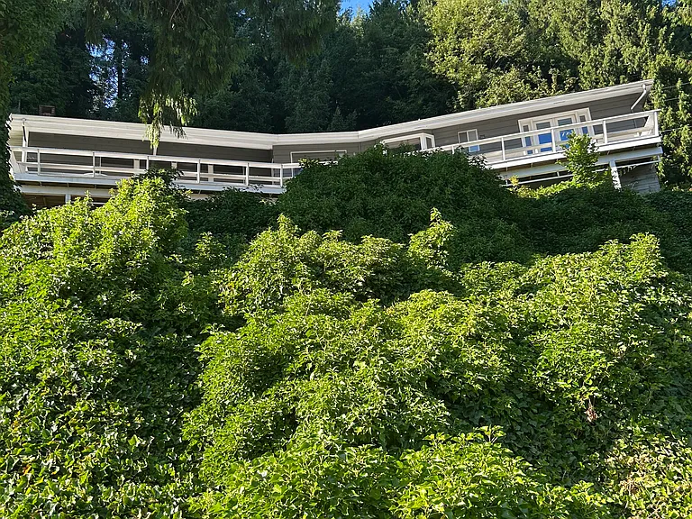 Haven Acres Rd — Photo 1