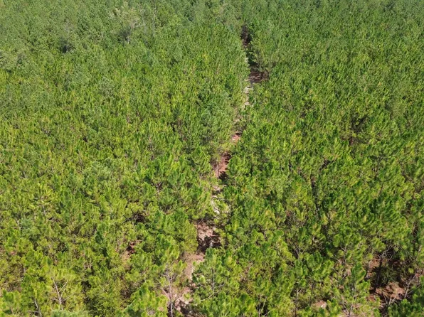 TRACT 3 Penny Morris Rd, Baxley, GA 31513