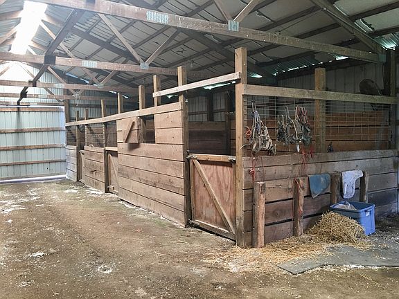 Horse stall in pole barn