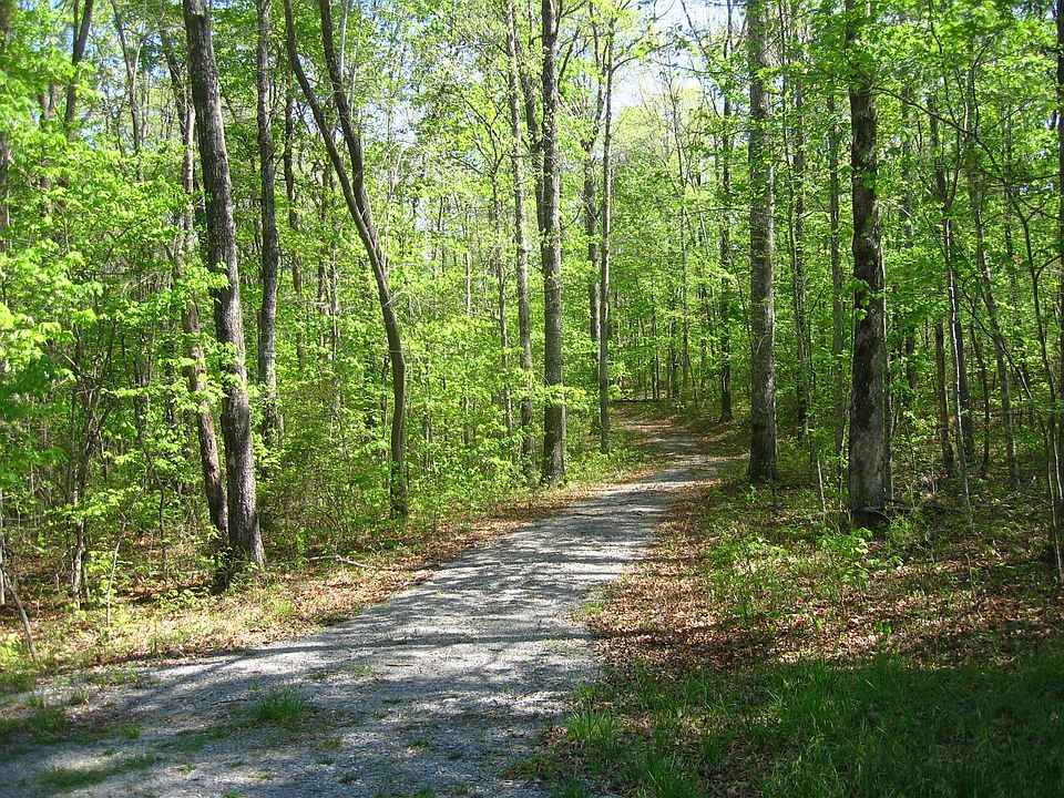 2nd image of Cumberland Cove Rd #2