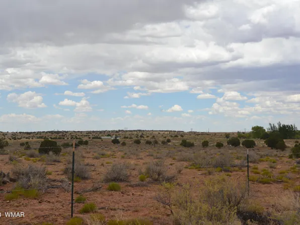 8895 Hansa Trl, Snowflake, AZ 85937