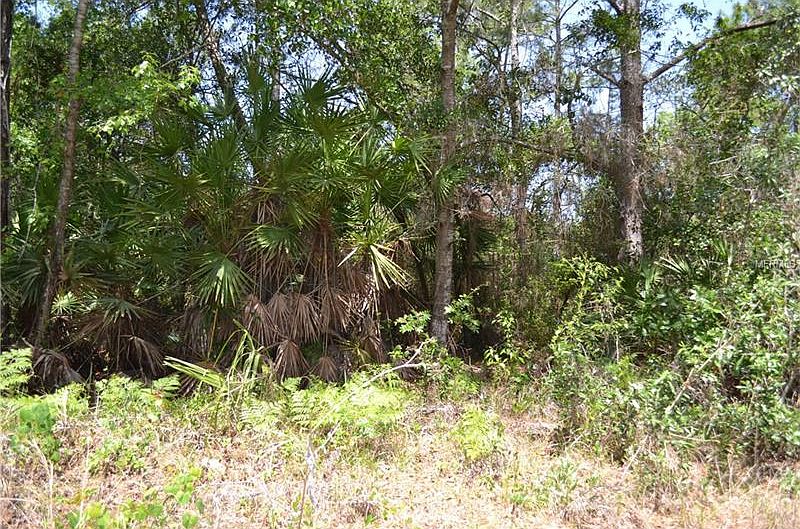 2nd image of 40919 Pine Tree Ln