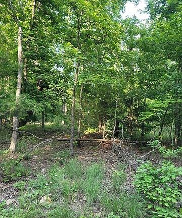 3rd image of 000 County Road 2710