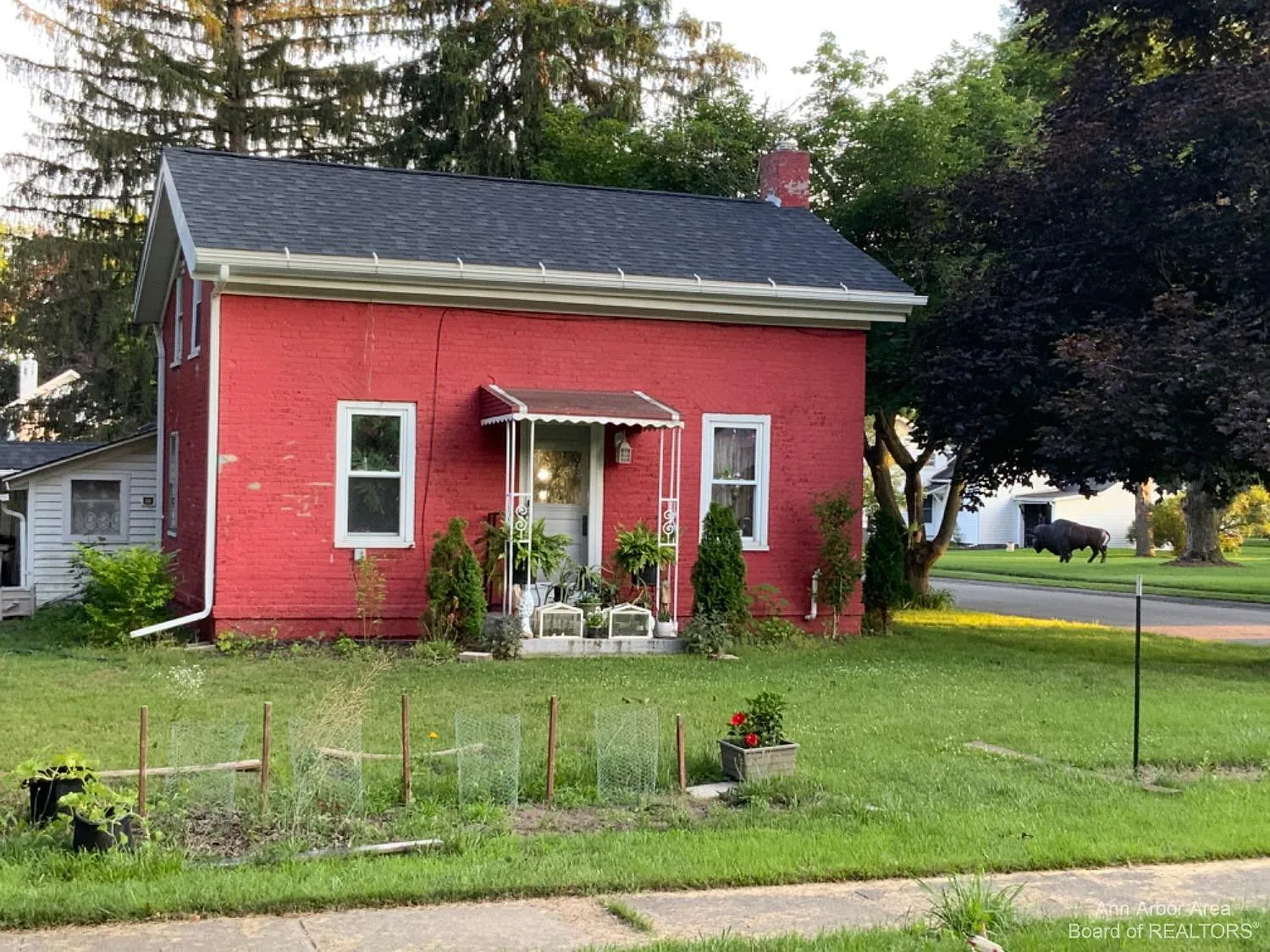 308 Burton St photo 1
