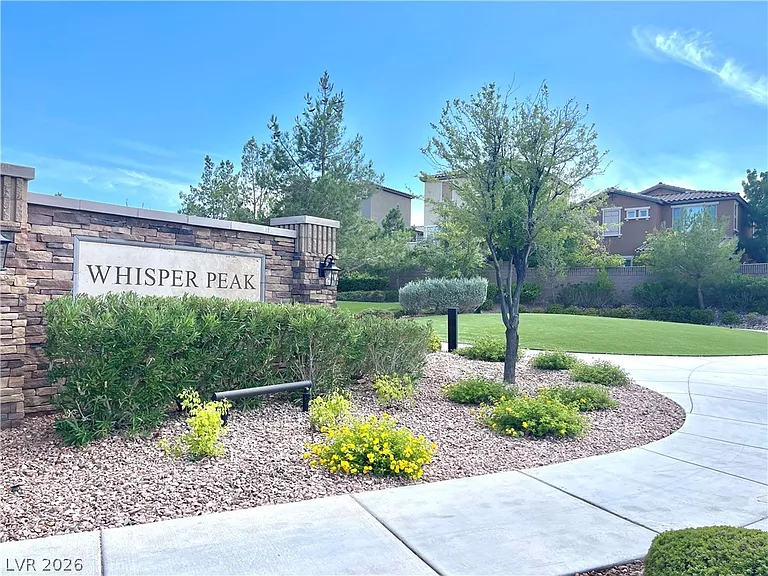 9702 Canyon Landing Ave — Photo 49