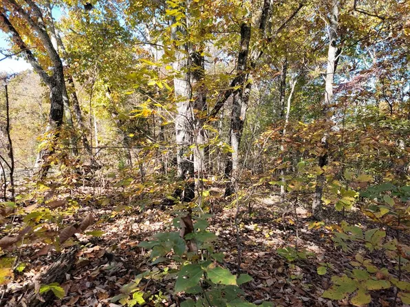 0 Redbud Ridge Rd, Holladay, TN 38341